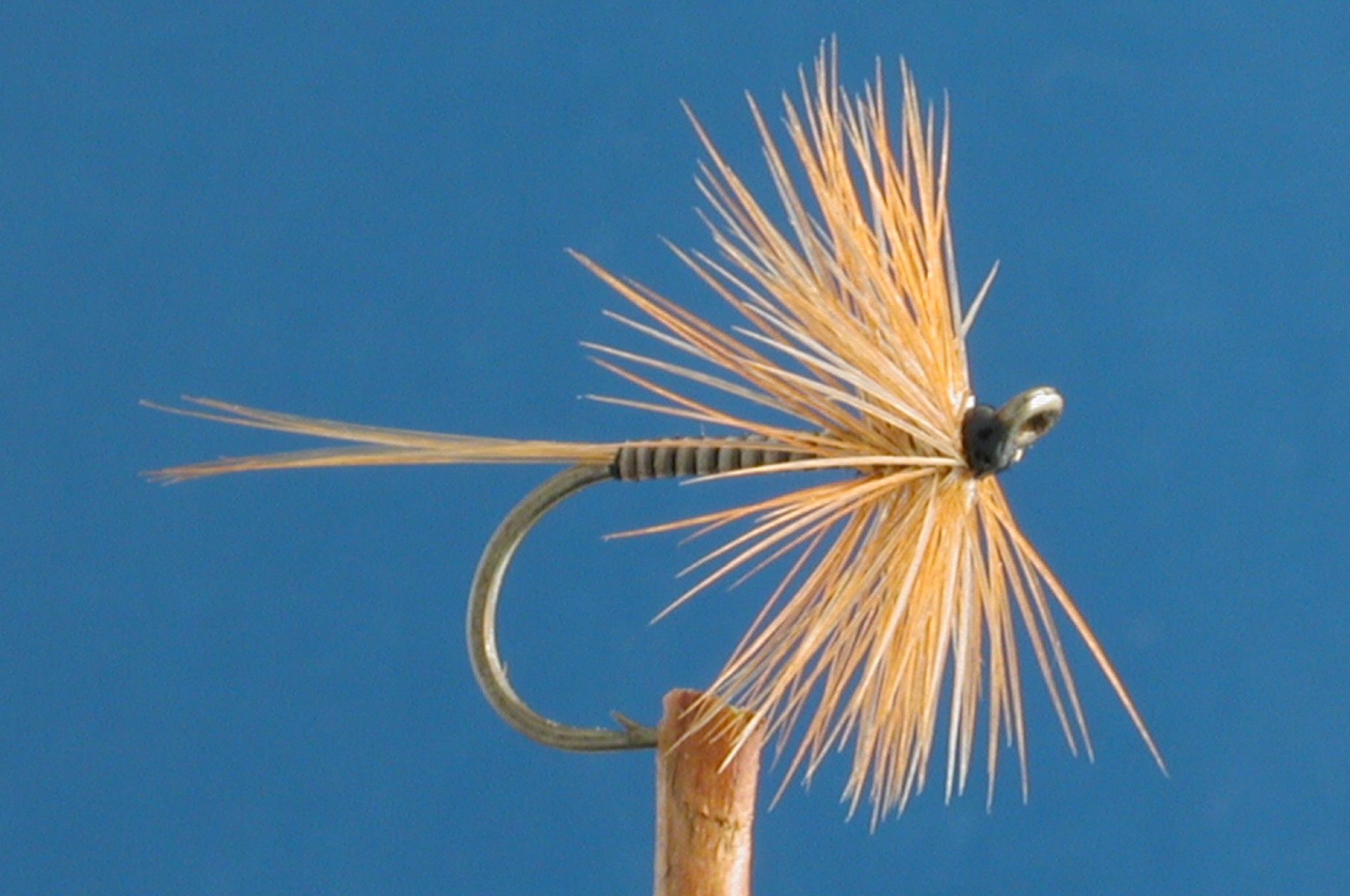 Ginger Quill Hackled Fly Fishing Flies with Fish4Flies Worldwide